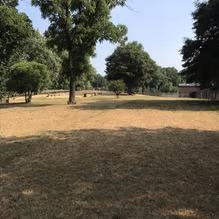 Dog Park at Pelham Mill Park